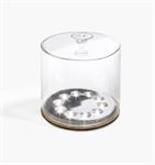 Luci Original Inflatable Solar Light