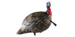 Avian-X - LCD Quarter Strut Jake Decoy