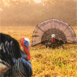 Surround View Turkey Decoy