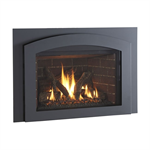GI 535 DV IPI Gas Insert - New Harbor