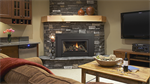 E21 Gas Fireplace Insert