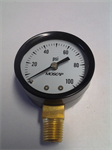 Pressure Gauge (0-100)