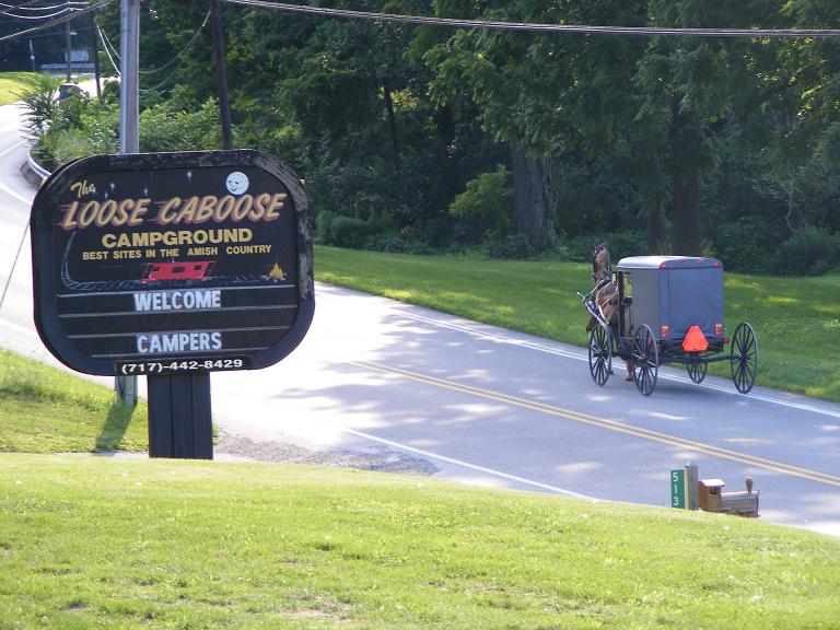 Loose Caboose
